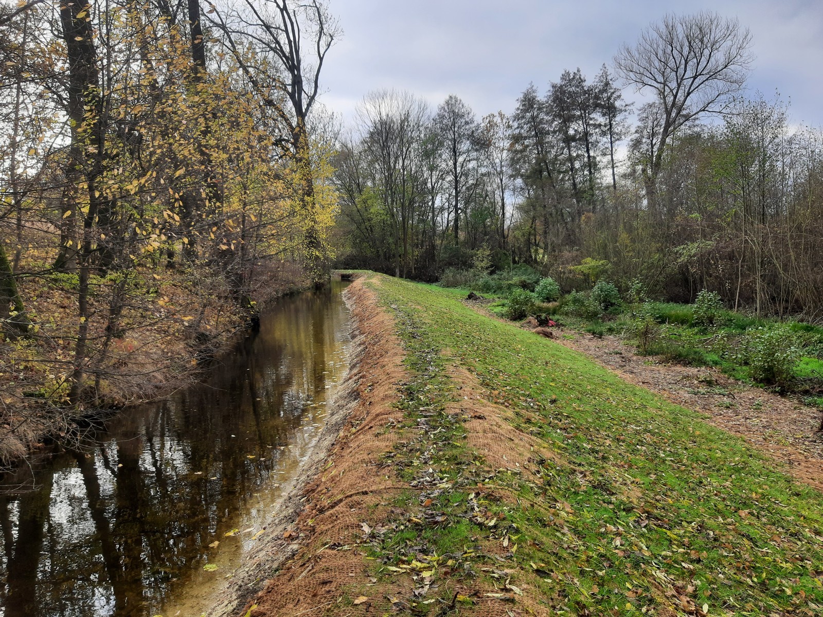 Rekonstrukce tělesa náhonu LB, ř.km 8,100-8,150, Zminka, Hostovice